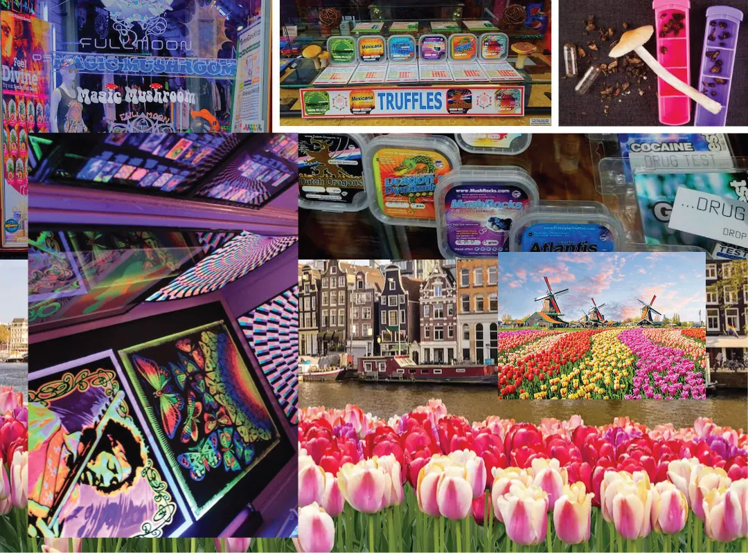 Creative Poster Design 14 MOAMM