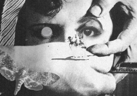 Un Chien Andalou MOAMM Featured Image